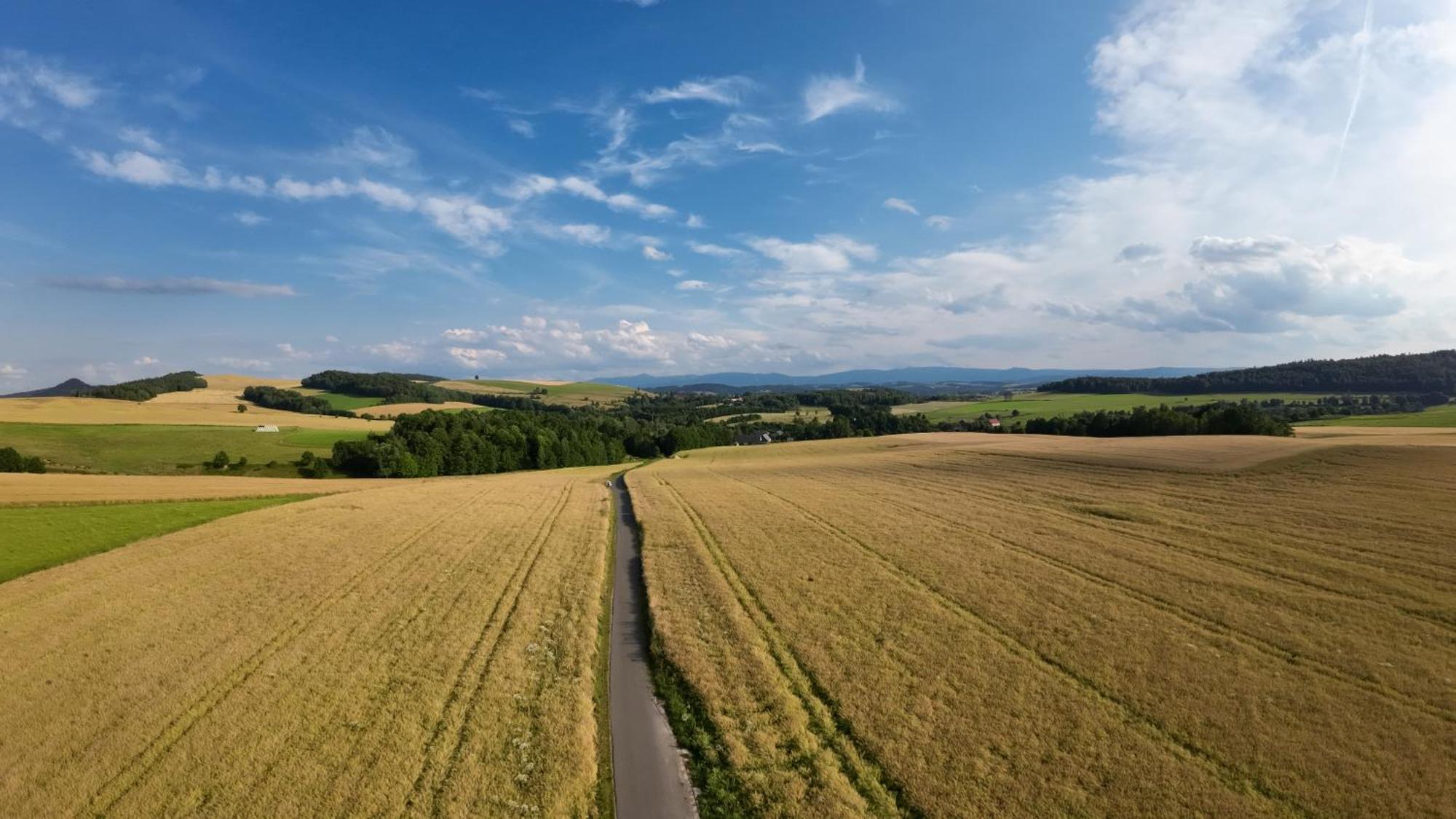 Agroturystyka Brzozowe Wzgorze Wlen 外观 照片